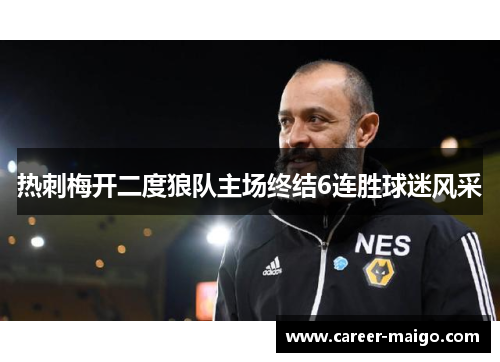 热刺梅开二度狼队主场终结6连胜球迷风采